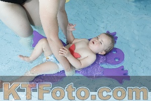 Foto 4231106
