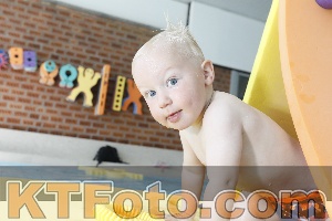 Foto 4231108