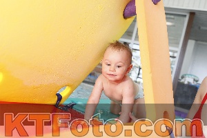 Foto 4231114