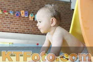 Foto 4231117