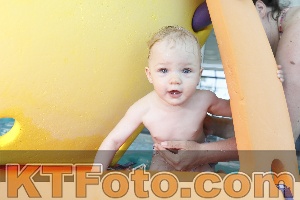 Foto 4231122