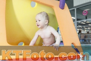 Foto 4231123