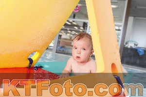 Foto 4231124