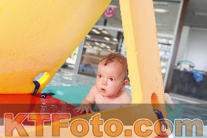 Foto 4231125