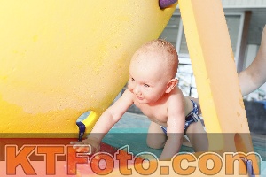 Foto 4231128