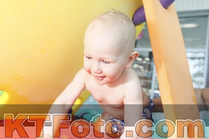 Foto 4231130