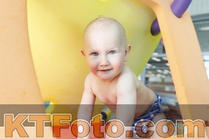 Foto 4231131