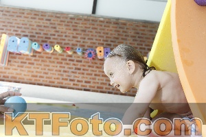Foto 4231134