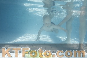 Foto 4231137