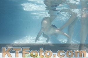Foto 4231138