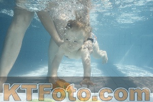 Foto 4231140