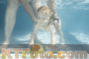 Foto 4231141