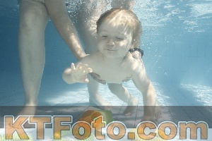 Foto 4231142