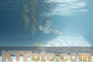 Foto 4231143
