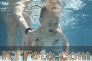 Foto 4231148