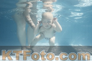 Foto 4231151
