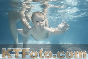 Foto 4231155