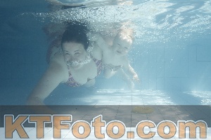 Foto 4231180