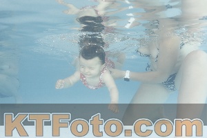 Photo 4231211