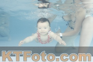Photo 4231212