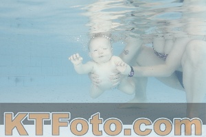 Photo 4231213