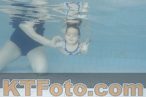 Photo 4231215