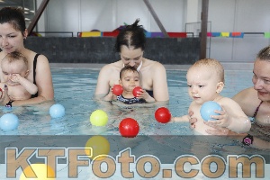 Foto 4231219