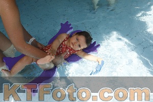 Foto 4231253
