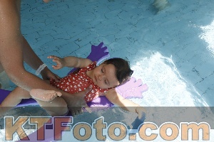 Foto 4231254