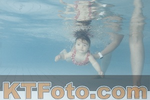 Foto 4231270