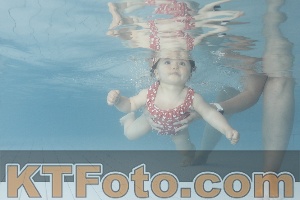 Foto 4231271
