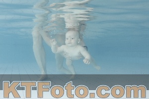 Foto 4231273