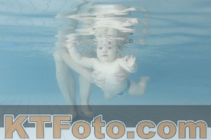 Foto 4231274