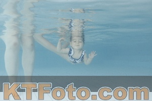 Photo 4231276