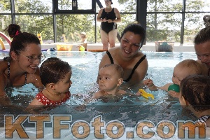 Photo 4231290