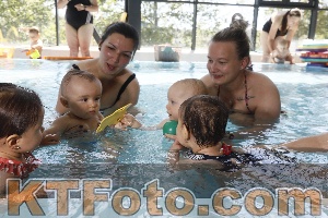 Photo 4231291