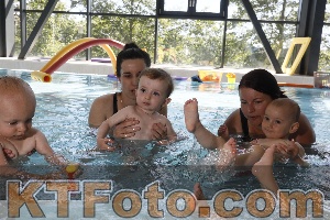 Photo 4231297