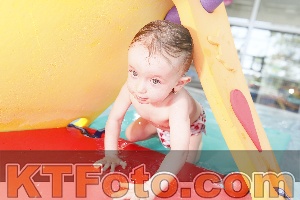 Photo 4231327