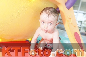 Photo 4231328