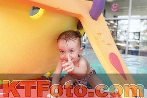 Photo 4231329