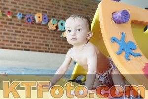 Photo 4231330