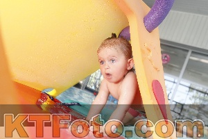 Photo 4231331