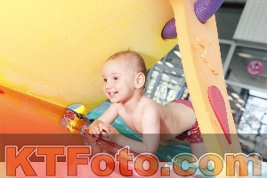 Foto 4231334