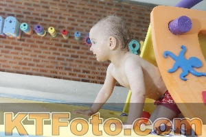 Foto 4231338