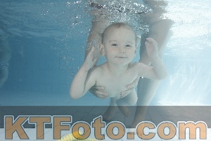 Foto 4231361