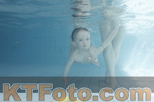 Foto 4231362