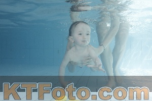 Foto 4231363
