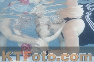 Photo 4231383