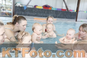 Photo 4231414