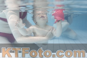 Photo 4231436